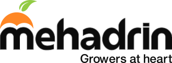 mehadrin